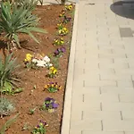 Nena Apartament Veglia